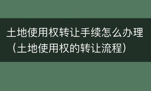 土地使用权转让手续怎么办理（土地使用权的转让流程）