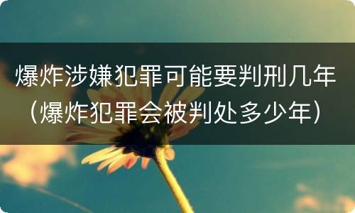 爆炸涉嫌犯罪可能要判刑几年（爆炸犯罪会被判处多少年）