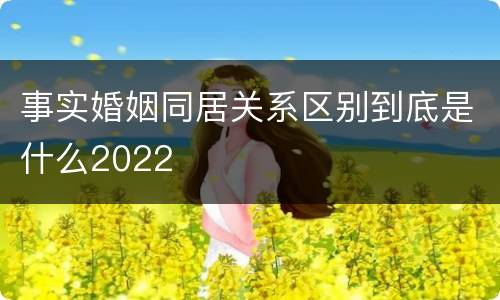 事实婚姻同居关系区别到底是什么2022
