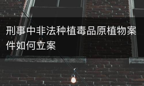 刑事中非法种植毒品原植物案件如何立案