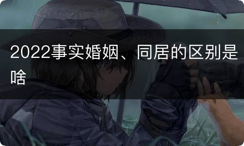 2022事实婚姻、同居的区别是啥