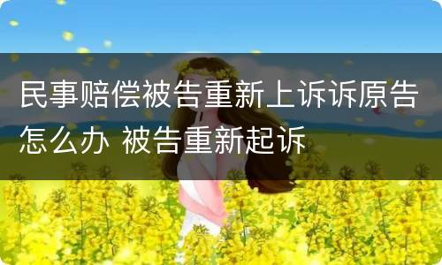 民事赔偿被告重新上诉诉原告怎么办 被告重新起诉
