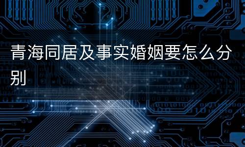 青海同居及事实婚姻要怎么分别