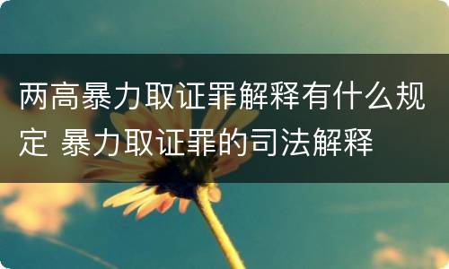 两高暴力取证罪解释有什么规定 暴力取证罪的司法解释