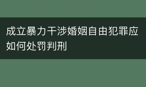 成立暴力干涉婚姻自由犯罪应如何处罚判刑