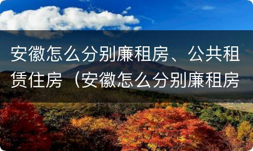 安徽怎么分别廉租房、公共租赁住房（安徽怎么分别廉租房,公共租赁住房和住宅）
