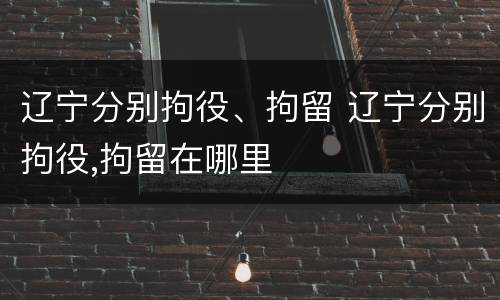 辽宁分别拘役、拘留 辽宁分别拘役,拘留在哪里