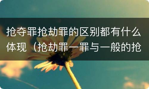 抢夺罪抢劫罪的区别都有什么体现（抢劫罪一罪与一般的抢劫罪区别）