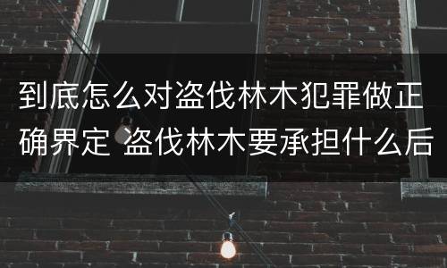 到底怎么对盗伐林木犯罪做正确界定 盗伐林木要承担什么后果