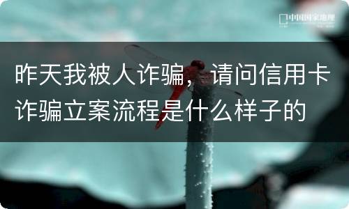 昨天我被人诈骗，请问信用卡诈骗立案流程是什么样子的