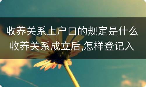收养关系上户口的规定是什么 收养关系成立后,怎样登记入户口?
