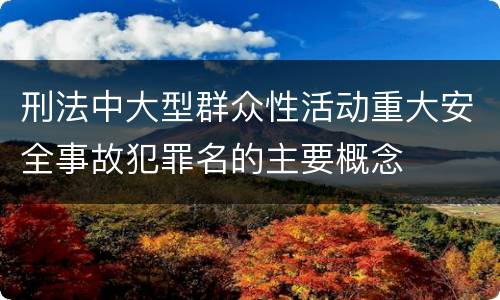刑法中大型群众性活动重大安全事故犯罪名的主要概念