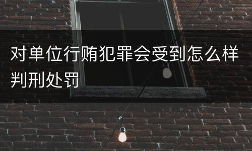 对单位行贿犯罪会受到怎么样判刑处罚