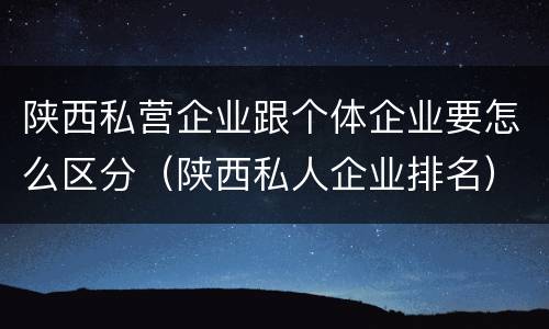 陕西私营企业跟个体企业要怎么区分（陕西私人企业排名）
