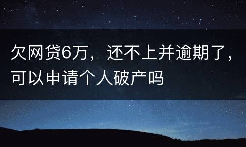 欠网贷6万，还不上并逾期了，可以申请个人破产吗
