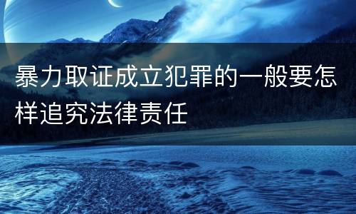 暴力取证成立犯罪的一般要怎样追究法律责任