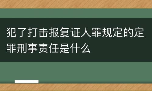 犯了打击报复证人罪规定的定罪刑事责任是什么