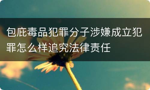 包庇毒品犯罪分子涉嫌成立犯罪怎么样追究法律责任