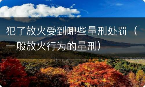 犯了放火受到哪些量刑处罚（一般放火行为的量刑）