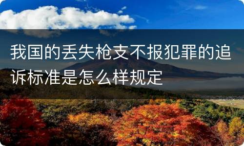 我国的丢失枪支不报犯罪的追诉标准是怎么样规定