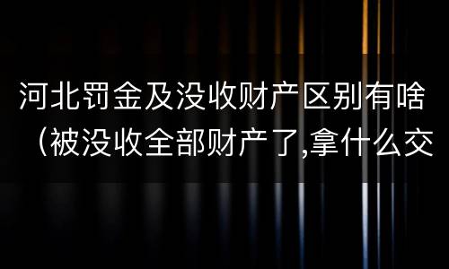 河北罚金及没收财产区别有啥（被没收全部财产了,拿什么交罚金）