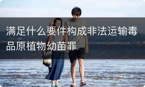 满足什么要件构成非法运输毒品原植物幼苗罪