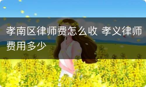 孝南区律师费怎么收 孝义律师费用多少