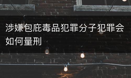 涉嫌包庇毒品犯罪分子犯罪会如何量刑