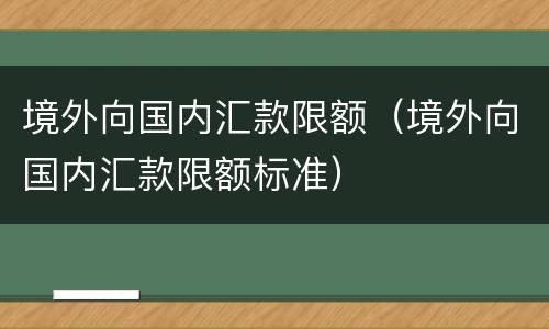 境外向国内汇款限额（境外向国内汇款限额标准）