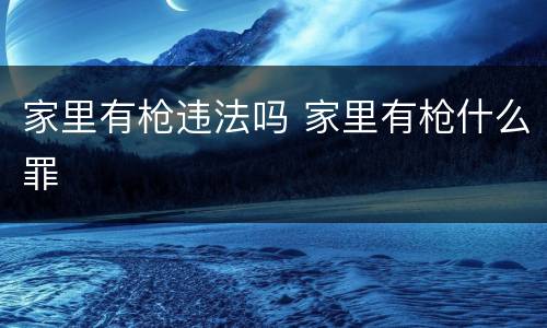 家里有枪违法吗 家里有枪什么罪