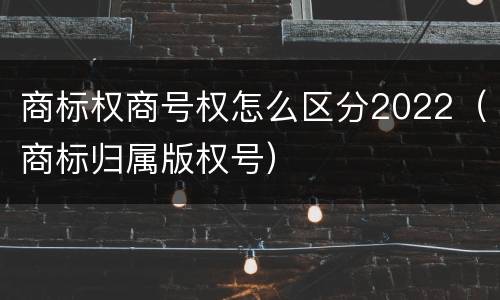 商标权商号权怎么区分2022（商标归属版权号）