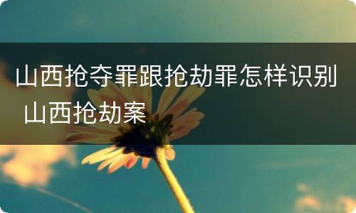 山西抢夺罪跟抢劫罪怎样识别 山西抢劫案