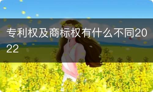 专利权及商标权有什么不同2022