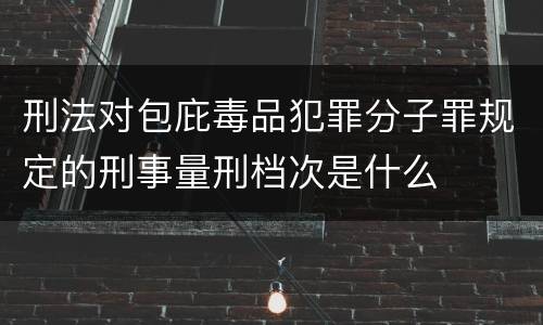 刑法对包庇毒品犯罪分子罪规定的刑事量刑档次是什么