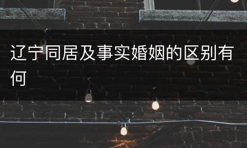 辽宁同居及事实婚姻的区别有何