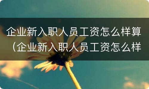 企业新入职人员工资怎么样算（企业新入职人员工资怎么样算正常）