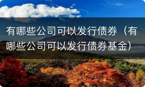 有哪些公司可以发行债券（有哪些公司可以发行债券基金）