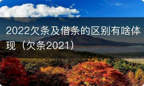 2022欠条及借条的区别有啥体现（欠条2021）