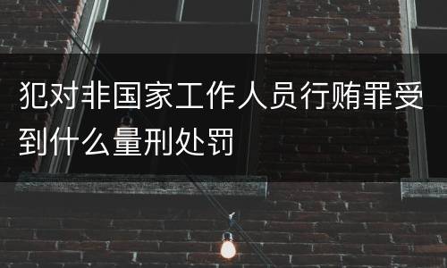 犯对非国家工作人员行贿罪受到什么量刑处罚