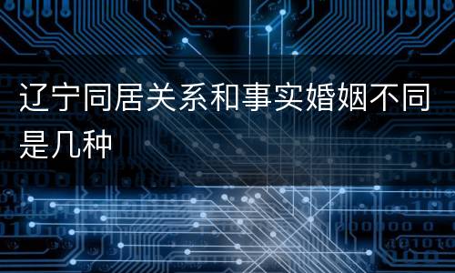 辽宁同居关系和事实婚姻不同是几种