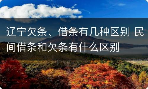 辽宁欠条、借条有几种区别 民间借条和欠条有什么区别