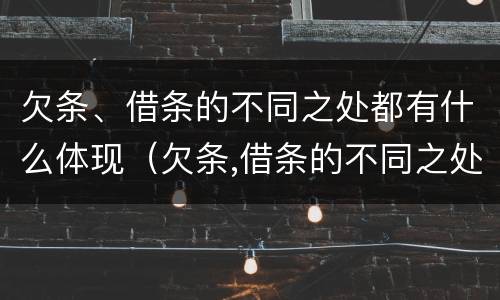 欠条、借条的不同之处都有什么体现（欠条,借条的不同之处都有什么体现呢）