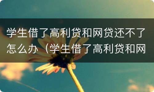 学生借了高利贷和网贷还不了怎么办（学生借了高利贷和网贷还不了怎么办理）