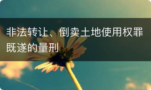 非法转让、倒卖土地使用权罪既遂的量刑