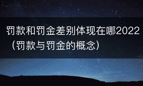 罚款和罚金差别体现在哪2022（罚款与罚金的概念）