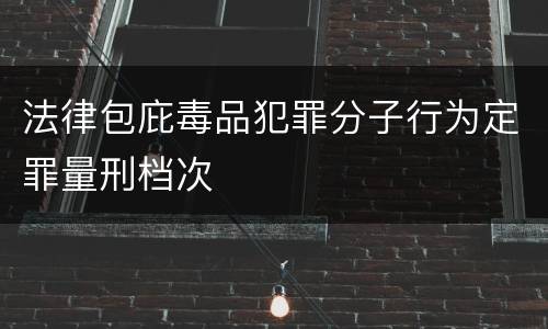 法律包庇毒品犯罪分子行为定罪量刑档次
