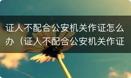 证人不配合公安机关作证怎么办（证人不配合公安机关作证怎么办理）
