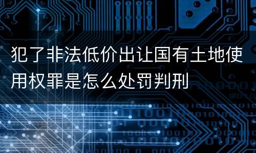 犯了非法低价出让国有土地使用权罪是怎么处罚判刑