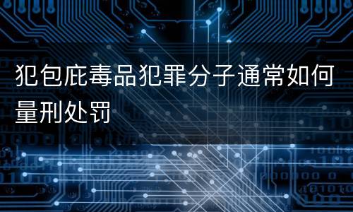 犯包庇毒品犯罪分子通常如何量刑处罚
