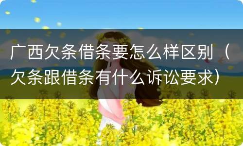 广西欠条借条要怎么样区别（欠条跟借条有什么诉讼要求）